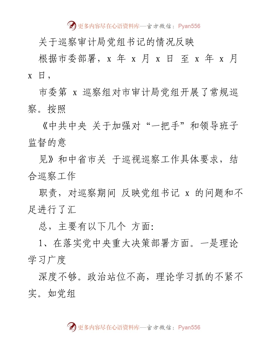 [调研报告] 巡察审计局 - 巡察审计局党组书记问题反映与整改建议.docx_第1页