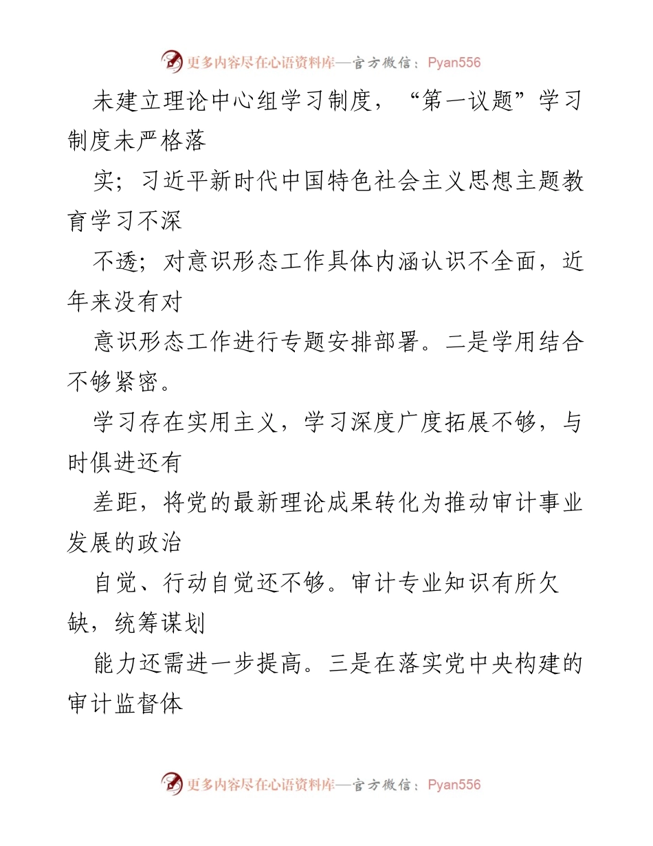 [调研报告] 巡察审计局 - 巡察审计局党组书记问题反映与整改建议.docx_第2页