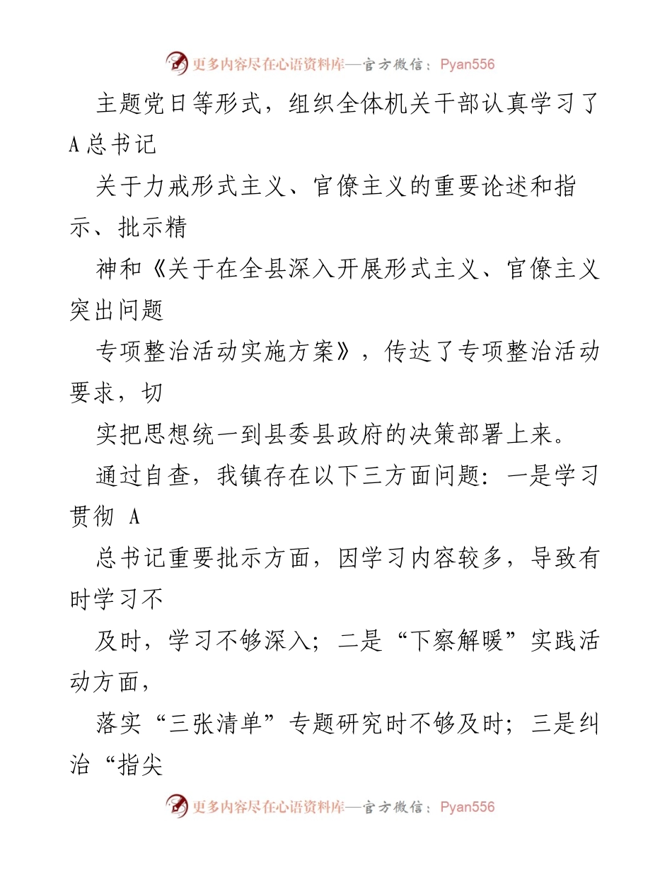 [自查报告] 整治形式主义、官僚主义 - 店垭镇形式主义、官僚主义突出问题自查与整改措施报告.docx_第2页