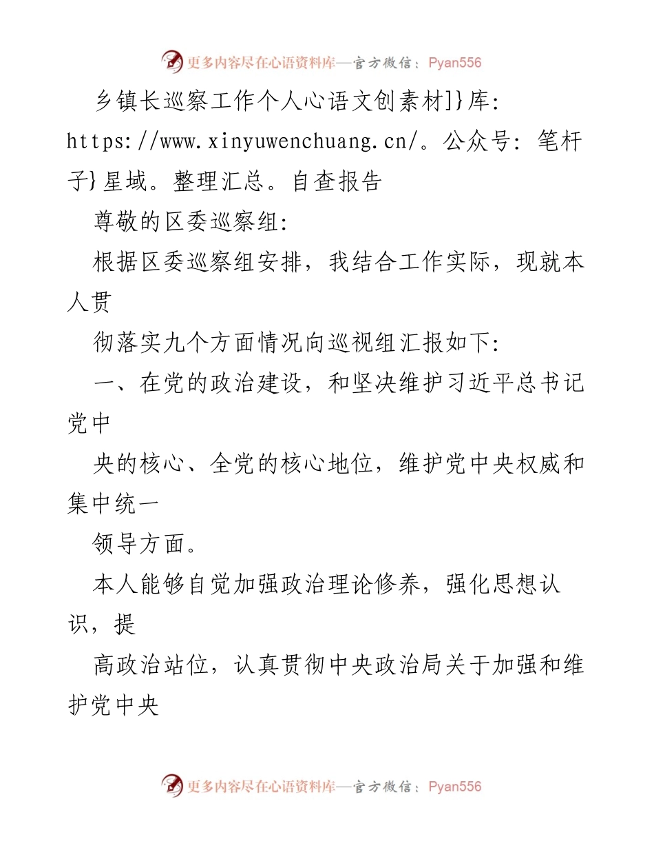 [自查报告] 巡察工作 - 乡镇长个人自查报告总结.docx_第1页