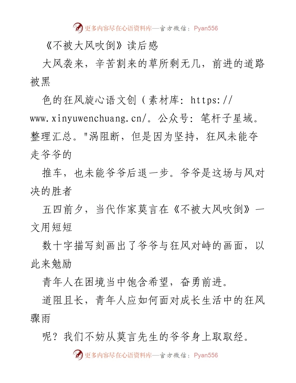 [读后感] 读书分享会 - 《不被大风吹倒》：在逆境中坚持与成长的启示.docx_第1页
