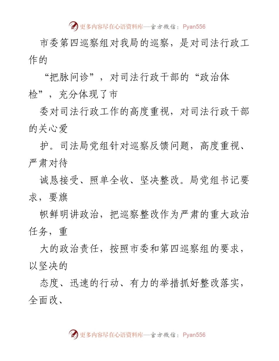[调研报告] 巡察整改 - 市司法局巡察整改工作总结与落实方案.docx_第2页