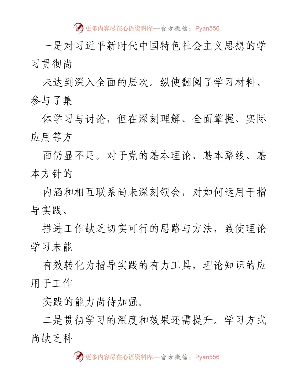 [自检报告] 主题教育专题民主生活会 - 深入自检自剖，提升理论学习与执行力.docx_第2页