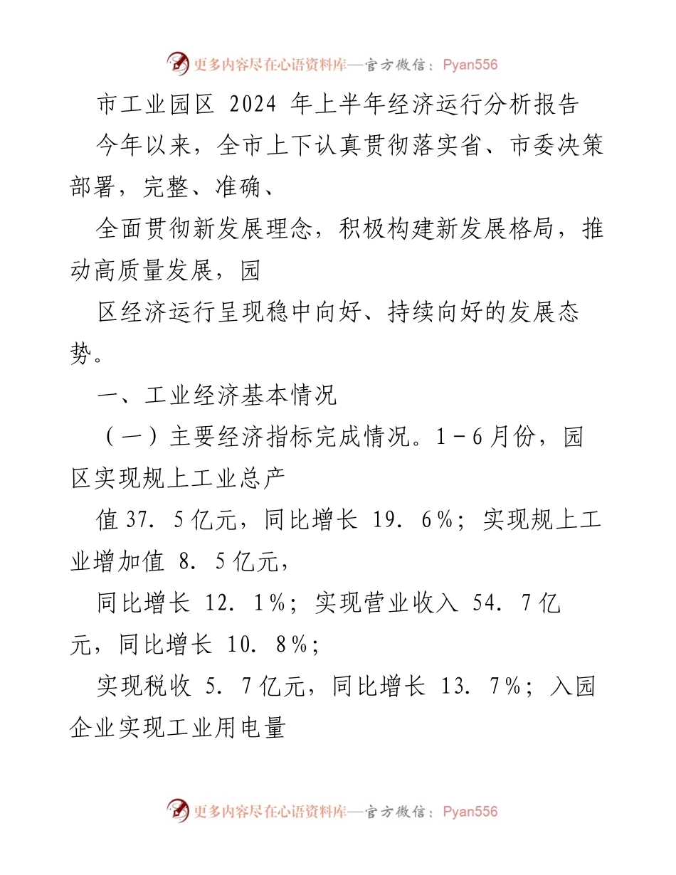 [调研报告] 市工业园区 - 2024年上半年园区经济运行分析与发展态势评估.docx_第1页