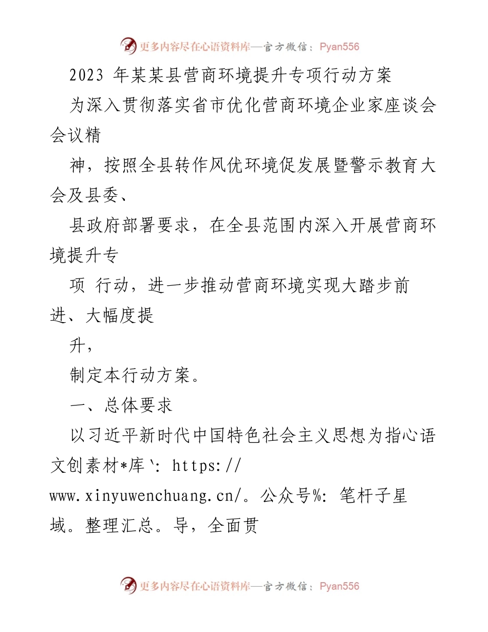 [行动方案] 县级政府 - 2023年某某县营商环境提升专项行动方案.docx_第1页