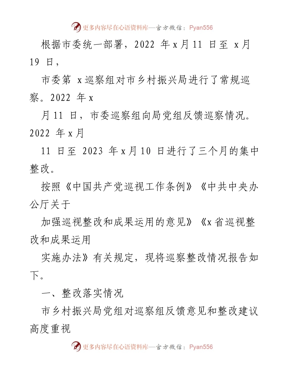 [调研报告] 巡察整改 - 市乡村振兴局巡察整改情况报告.docx_第1页
