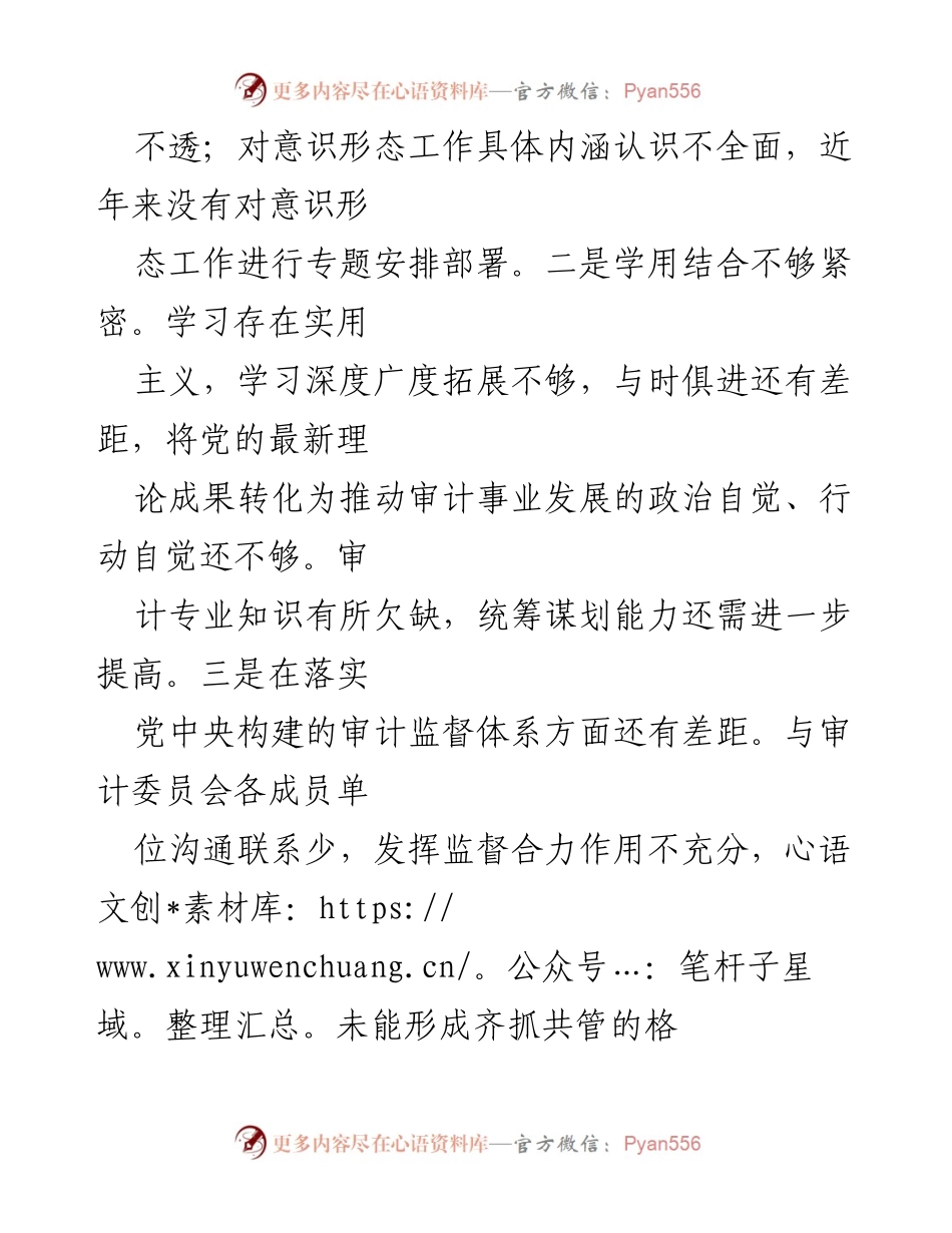 [调研报告] 巡察工作 - 关于审计局党组书记情况的巡察反馈报告.docx_第2页