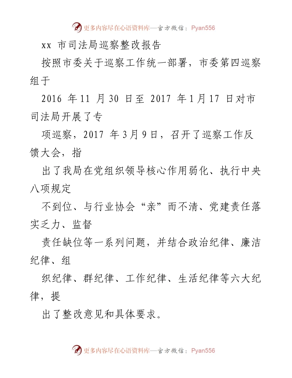 [调研报告] 司法局巡察整改 - 市司法局巡察整改工作总结报告.docx_第1页