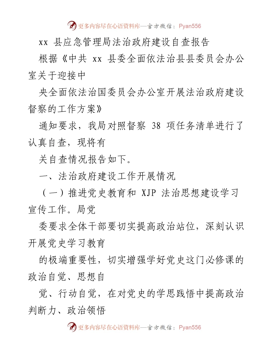 [自查报告] 应急管理局 - 法治政府建设自查报告总结.docx_第1页