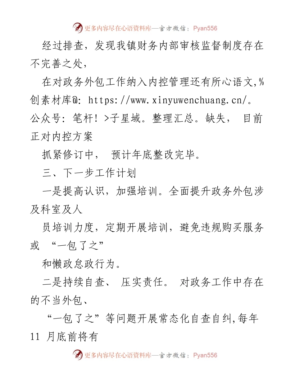 [自查报告] 政务外包专项整治 - 政务外包专项整治工作自查情况及整改计划.docx_第2页
