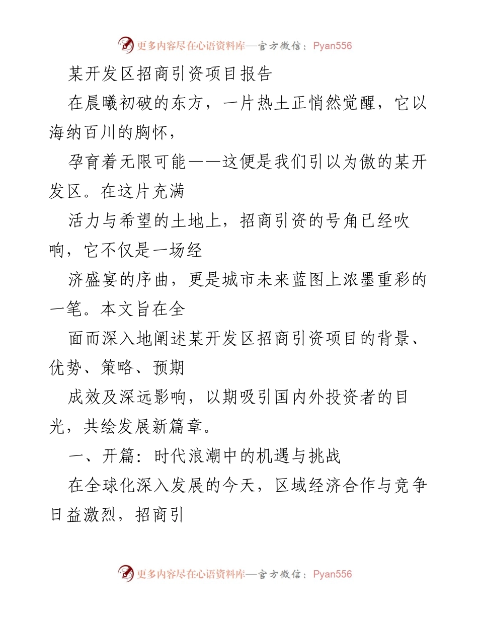 [调研报告] 招商引资 - 某开发区招商引资项目全景分析与发展策略.docx_第1页