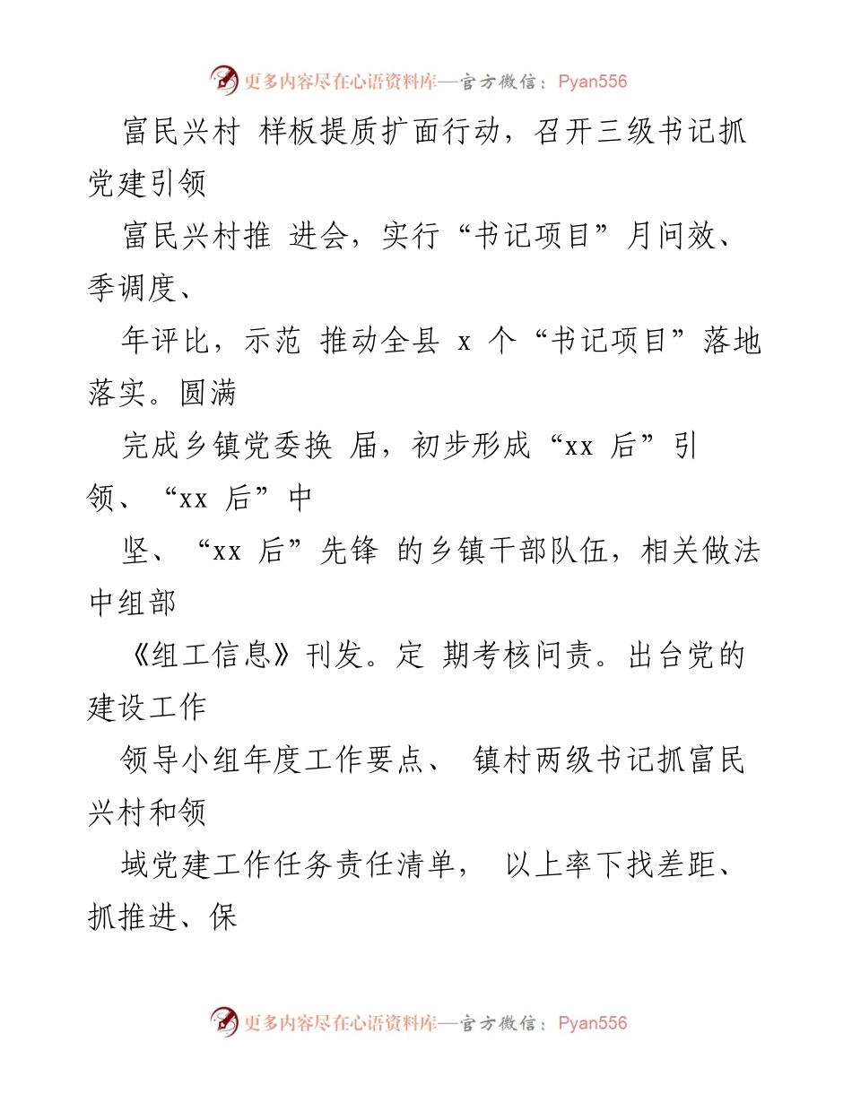 [述职报告] 县委书记 - 加强党建工作，推动乡村振兴与党员干部建设.docx_第2页