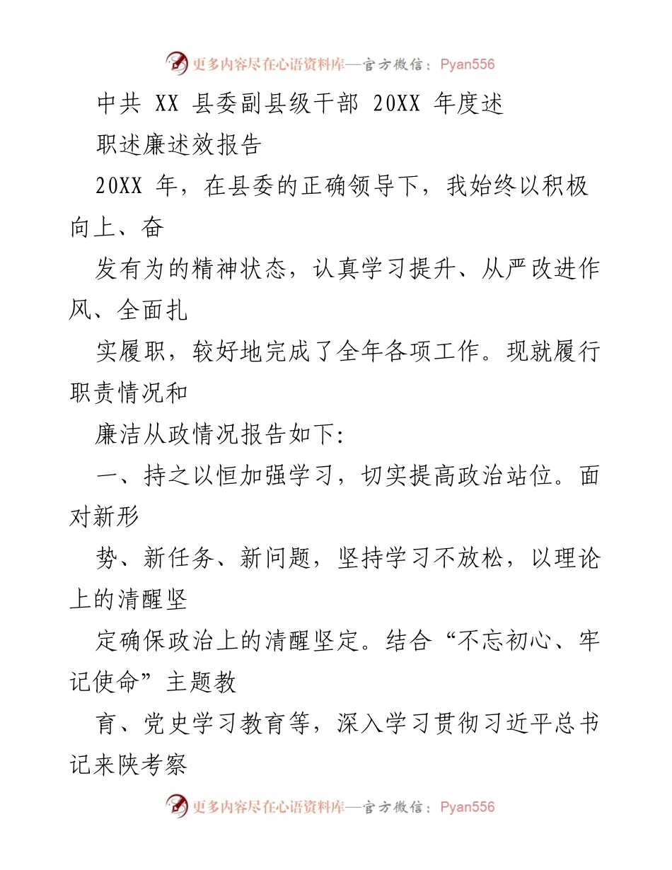 [述职报告] 县委干部年度总结 - 202X年度副县级干部述职述廉述效报告.docx_第1页