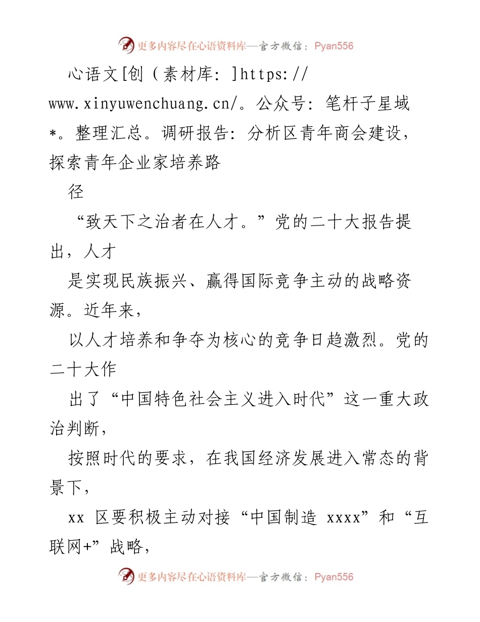 [调研报告] 青年企业家培养 - 探索xx区青年商会建设与企业家发展路径.docx_第1页