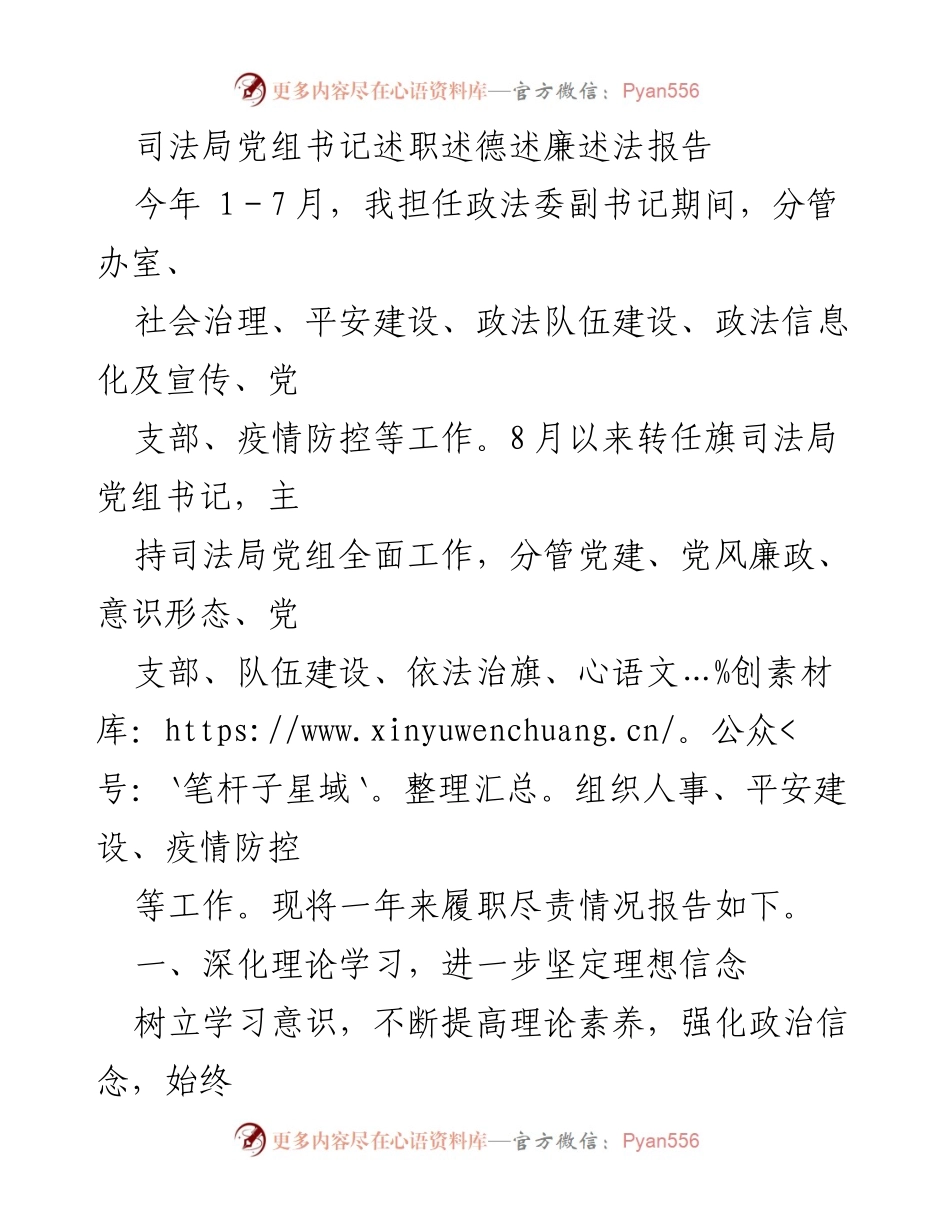 [述职报告] 司法局 - 司法局党组书记年度履职总结与廉政建设报告.docx_第1页