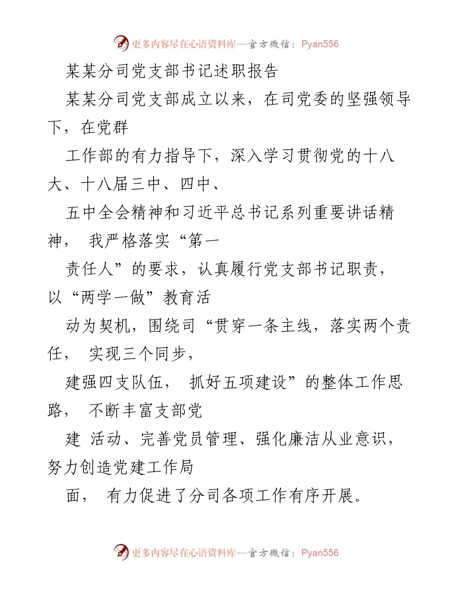 [述职报告] 党支部工作总结 - 某某分司党支部书记述职报告.docx_第1页