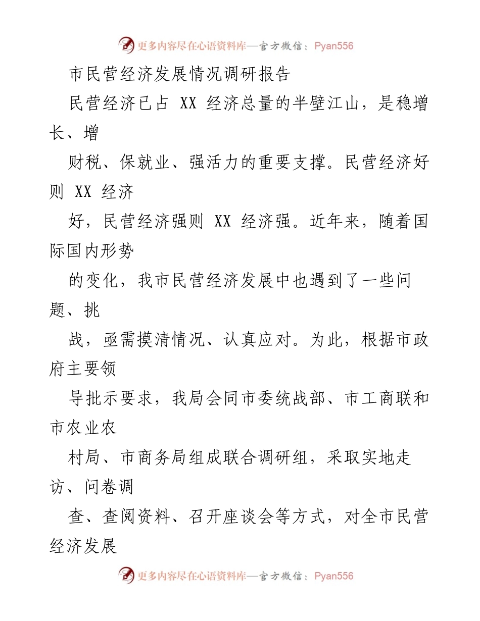 [调研报告] 民营经济发展 - 市民营经济发展现状及挑战分析.docx_第1页
