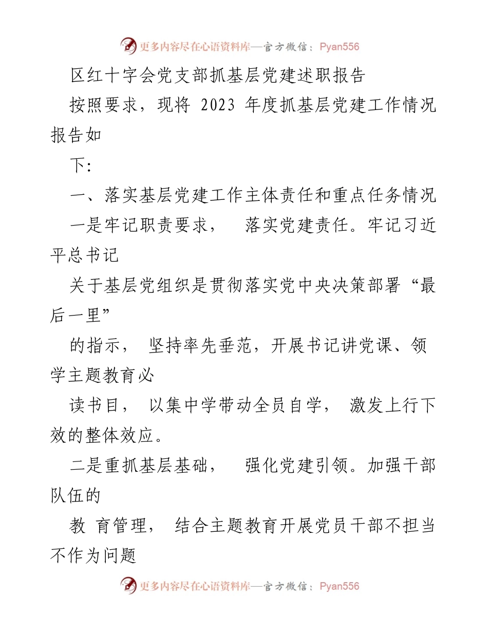 [述职报告] 区红十字会党支部 - 2023年度基层党建工作情况述职报告.docx_第1页
