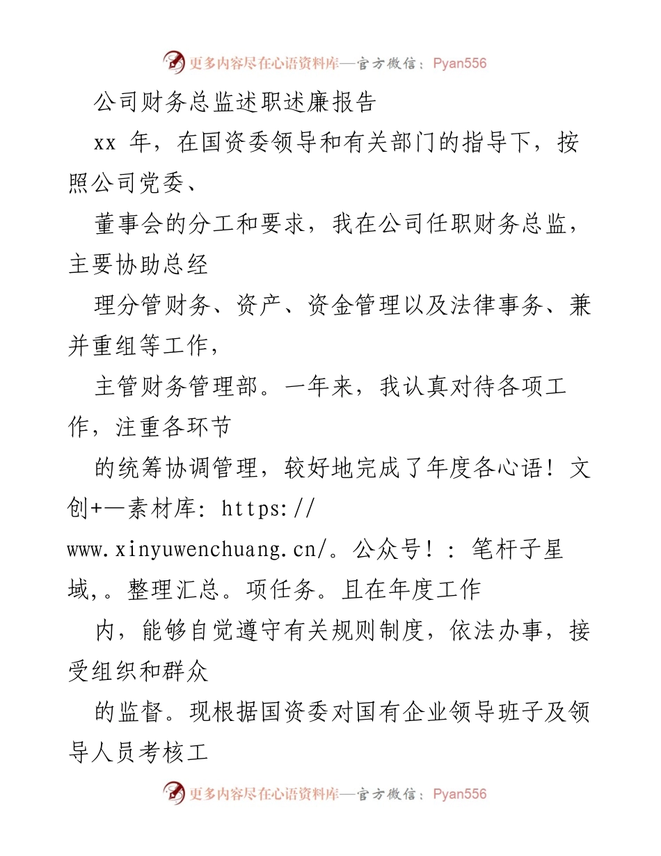 [述职报告] 公司年度总结 - 财务总监年度述职述廉报告.docx_第1页