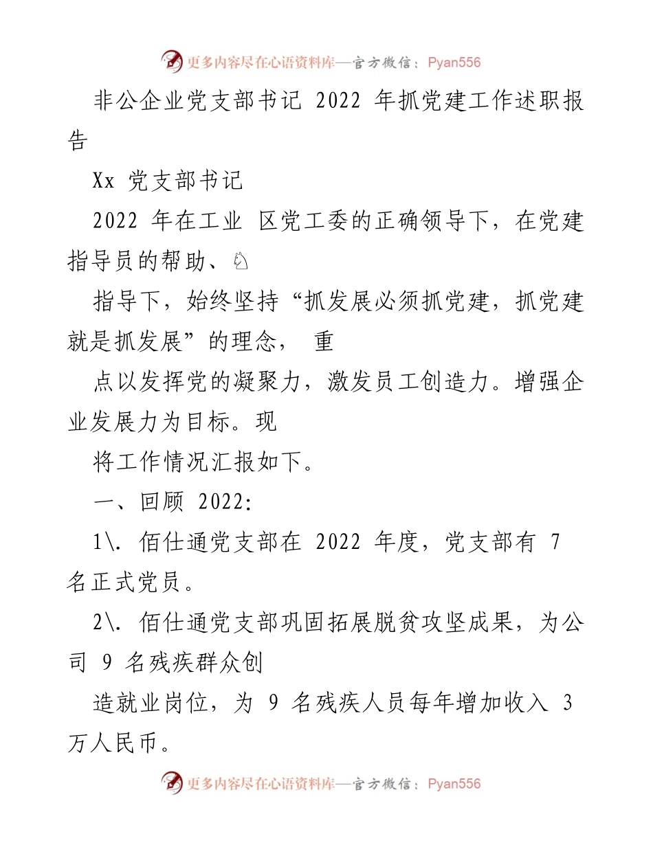 [述职报告] 党支部工作 - 2022年度非公企业党支部党建工作述职报告.docx_第1页