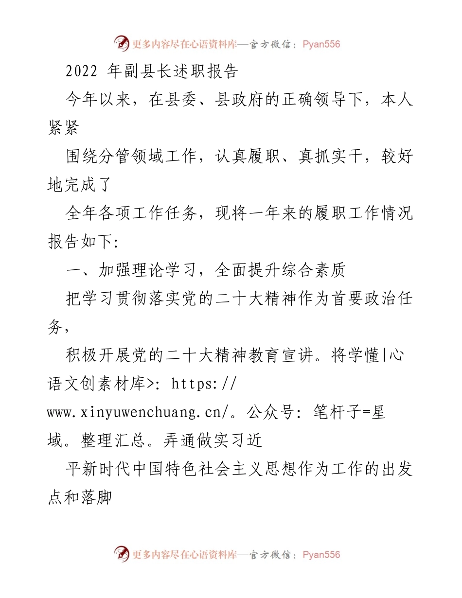 [述职报告] 副县长述职 - 2022年度副县长履职工作总结报告.docx_第1页