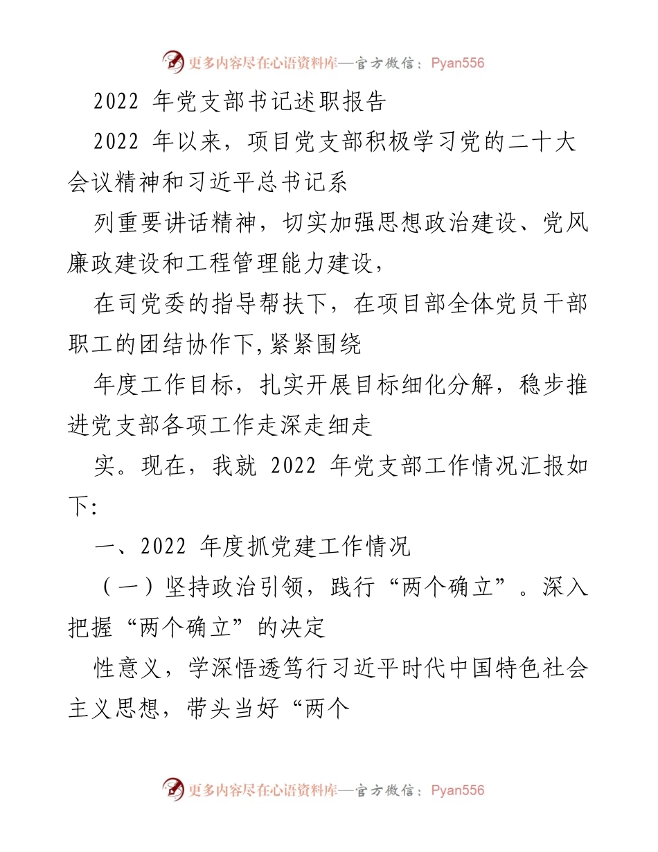 [述职报告] 党支部工作总结 - 2022年党支部书记述职报告.docx_第1页