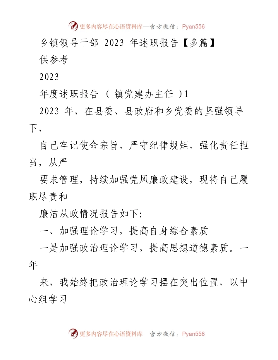 [述职报告] 乡镇领导干部 - 2023年度述职报告总结与反思.docx_第1页