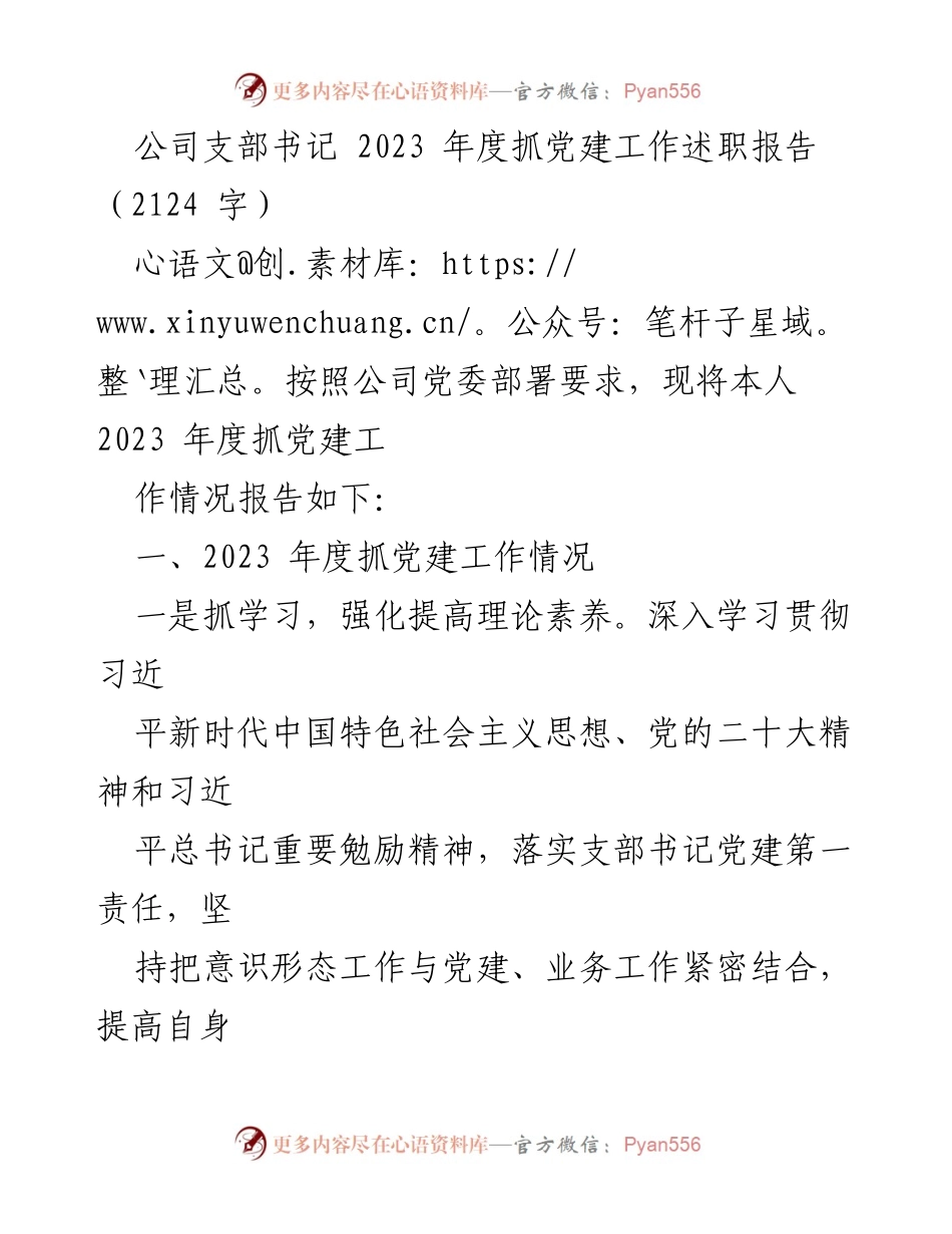 [述职报告] 公司支部书记年度工作总结 - 2023年度党建工作述职报告.docx_第1页