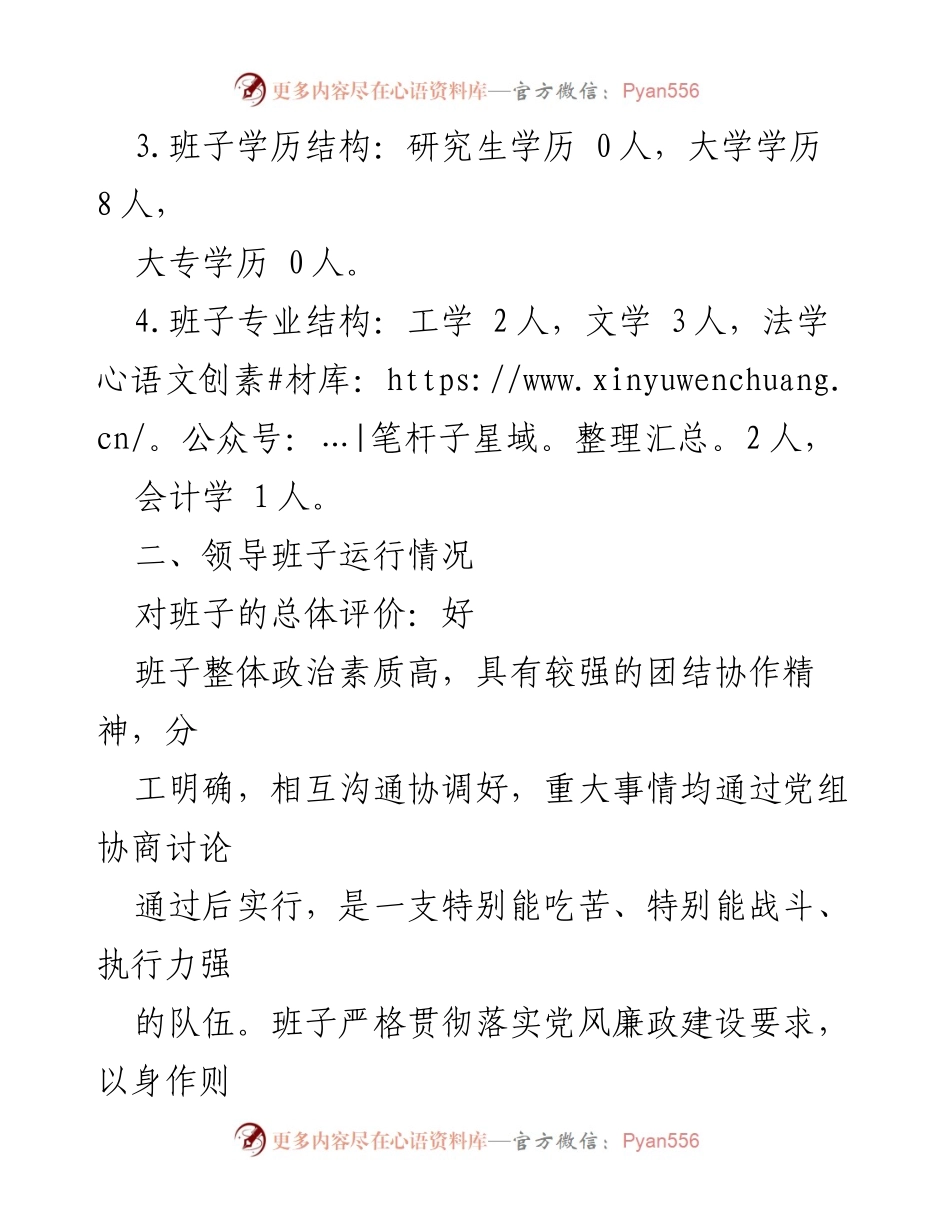 [调研报告] 领导班子运行分析 - XX局领导班子结构与运行情况评估报告.docx_第2页