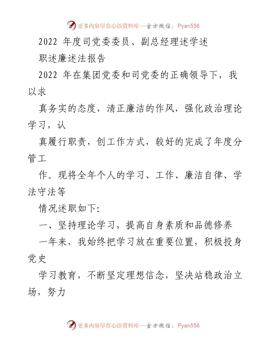 [述职报告] 党委会议 - 2022年度副总经理述职报告总结.docx_第1页