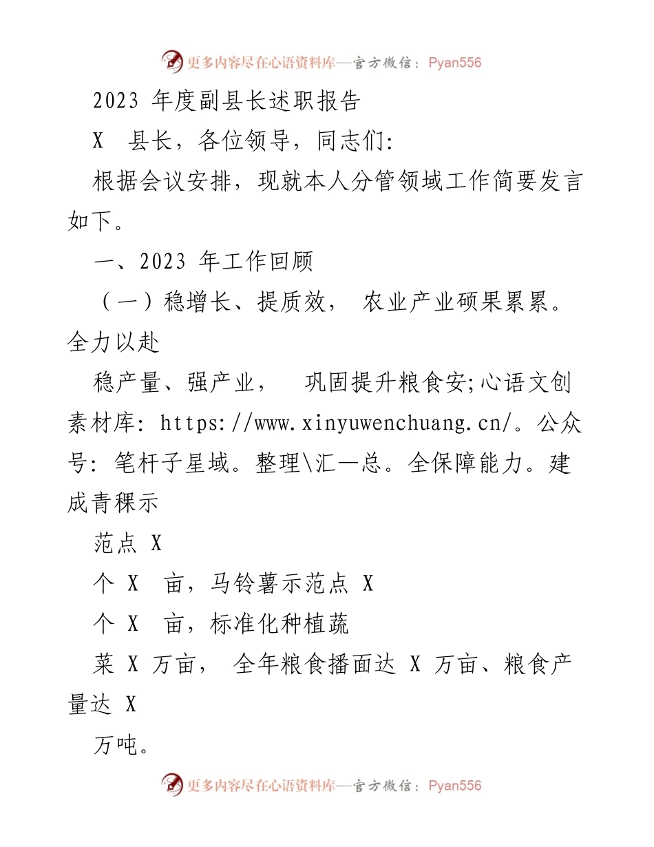 [述职报告] 2023年副县长述职 - 2023年度副县长工作述职报告.docx_第1页