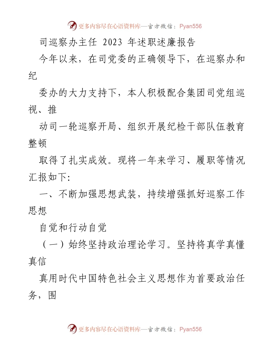 [述职报告] 司巡察办 - 2023年度巡察办主任述职述廉报告.docx_第1页