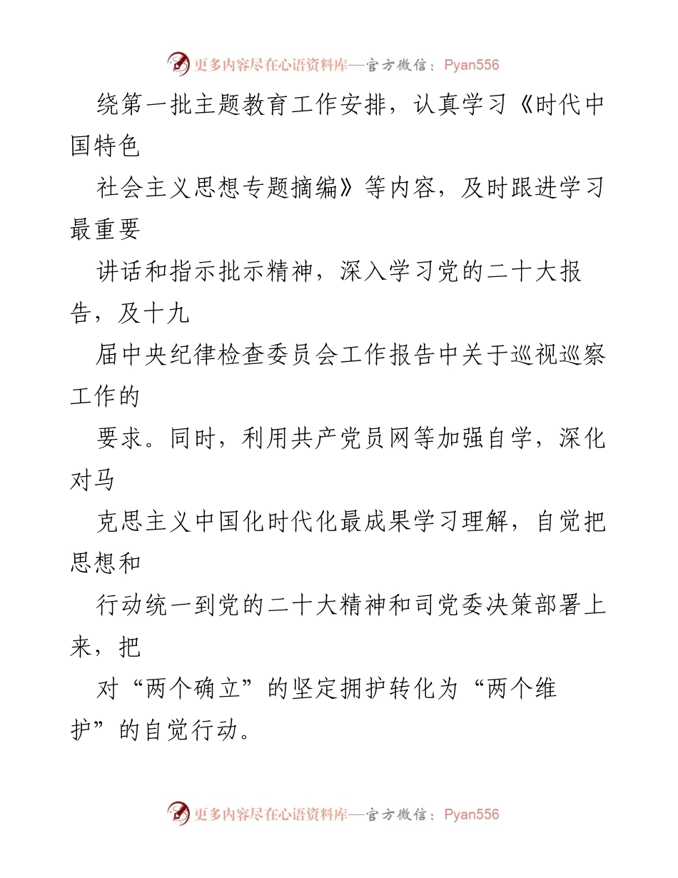 [述职报告] 司巡察办 - 2023年度巡察办主任述职述廉报告.docx_第2页