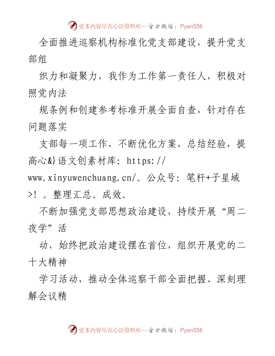 [述职报告] 党支部工作总结 - 202X年巡察机构党支部基层党建工作述职报告.docx_第2页