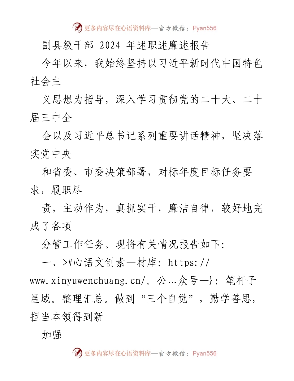 [述职报告] 副县级干部述职 - 2024年度述职述廉报告总结.docx_第1页