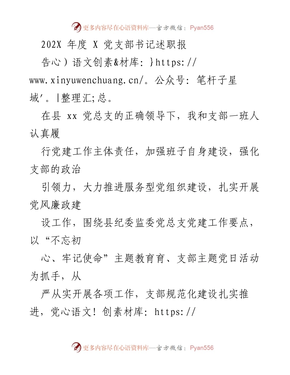 [述职报告] 党支部年度总结 - 202X年度X党支部书记述职报告_1.docx_第1页