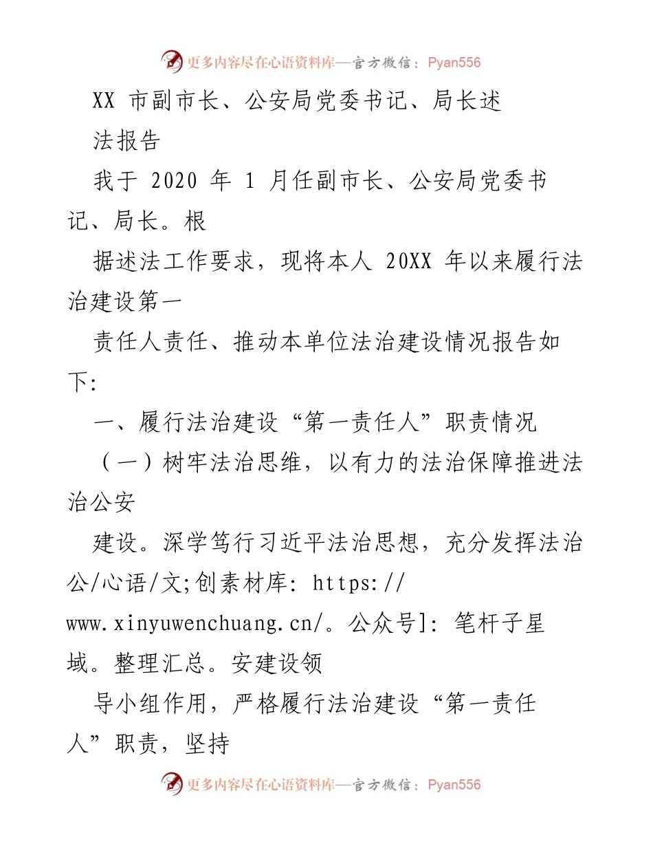 [述法报告] 政府工作 - 副市长法治建设履责情况总结.docx_第1页