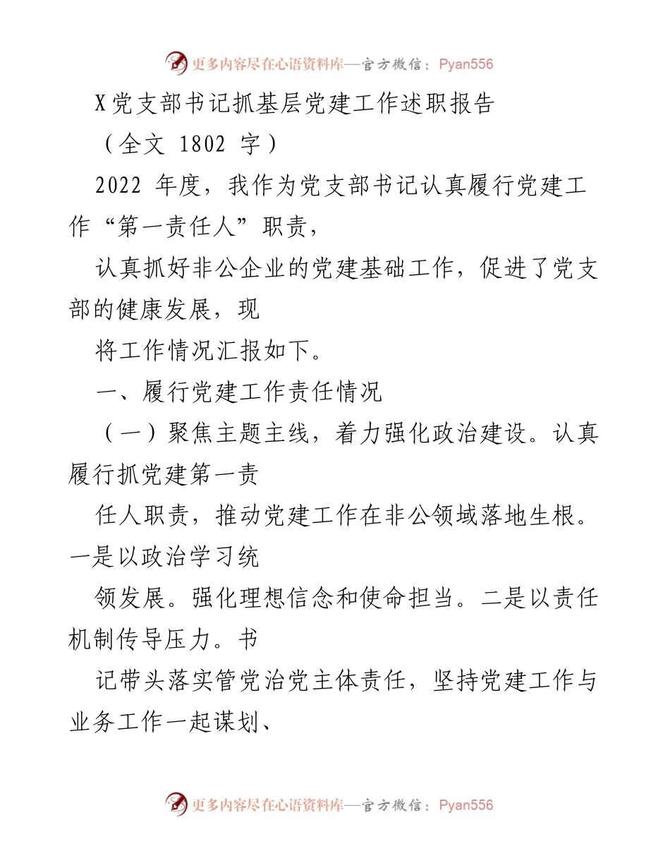 [述职报告] 党支部工作 - 非公企业党建工作述职报告.docx_第1页