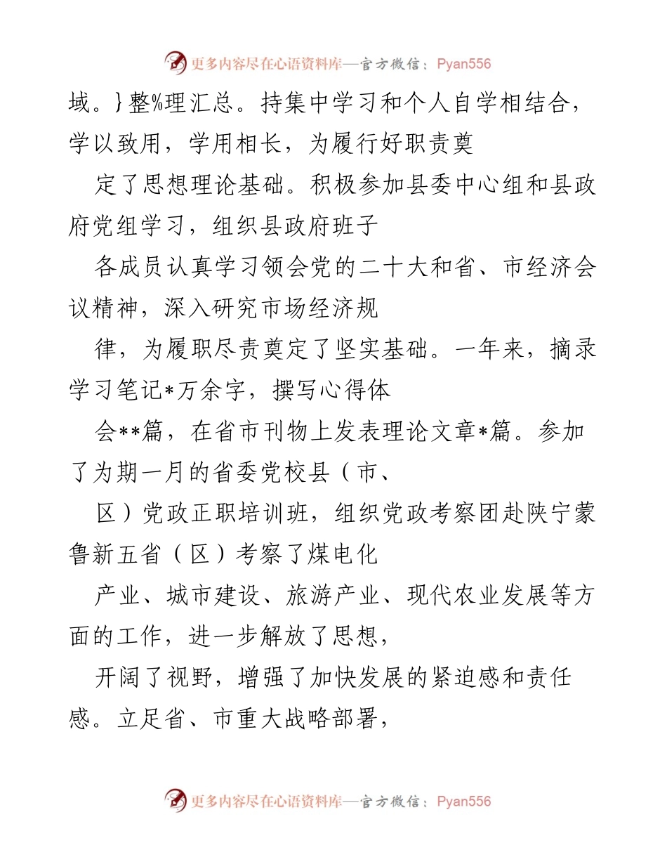 [述职报告] 县政府 - 2022年度县长述职述廉报告.docx_第2页