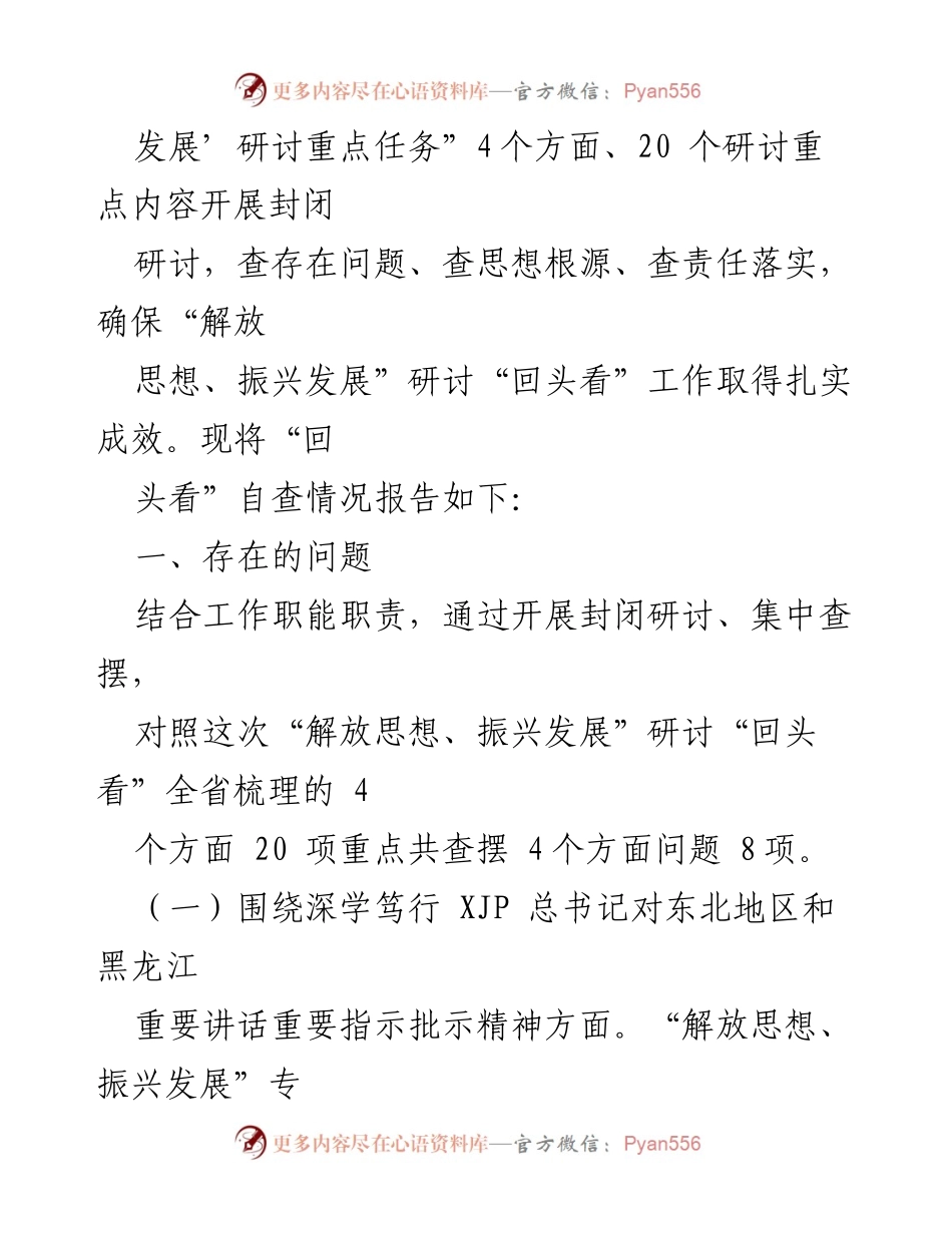 [调研报告] 研讨会 - XX县“解放思想、振兴发展”自查情况分析报告.docx_第2页