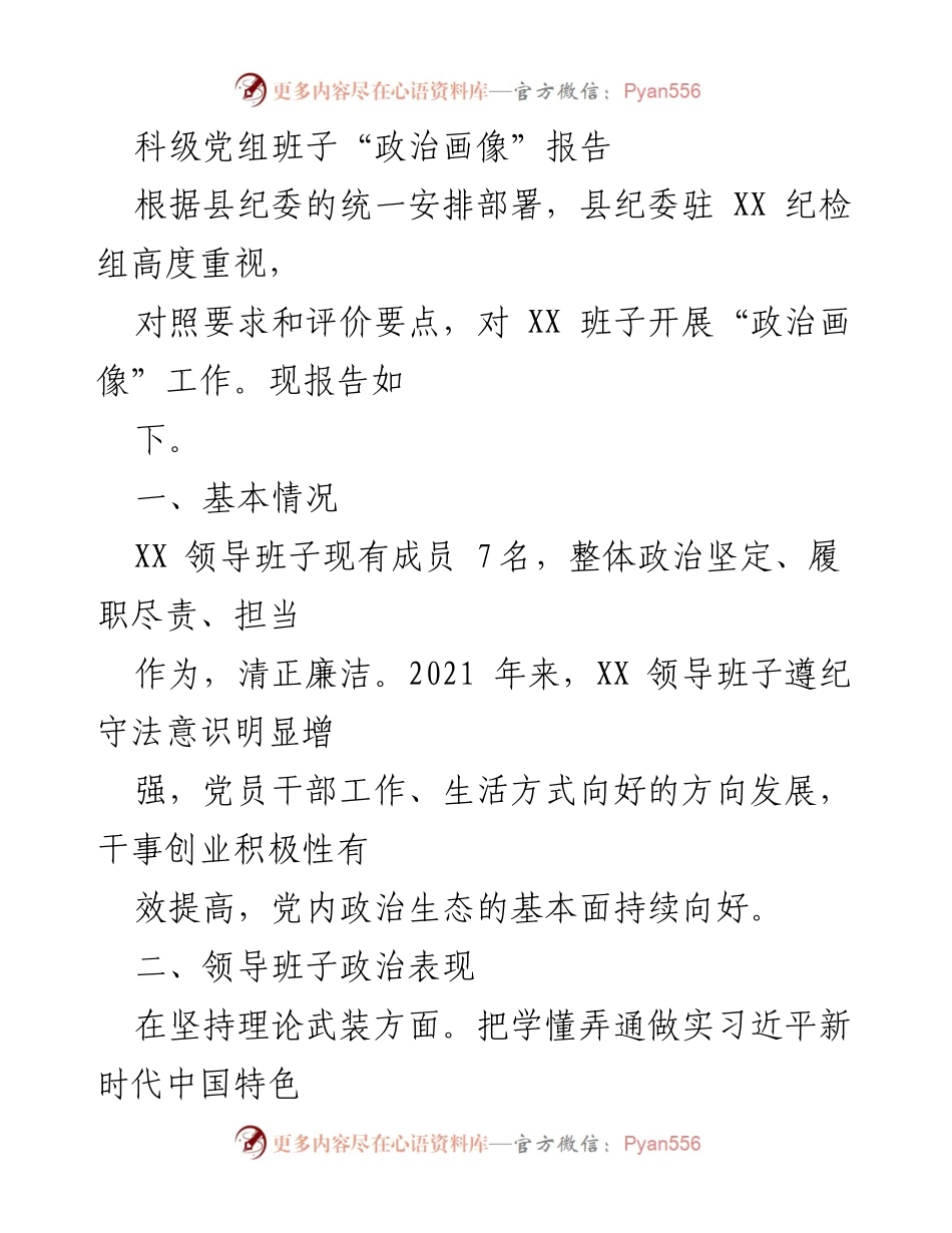 [调研报告] 纪委工作 - 科级党组班子“政治画像”工作报告.docx_第1页