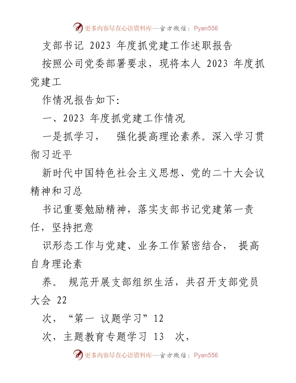 [述职报告] 党建工作 - 2023年度支部书记党建工作述职报告_3.docx_第1页