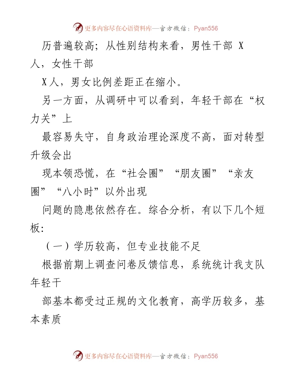 [调研报告] 年轻干部情况 - 年轻干部队伍发展现状与短板分析.docx_第2页