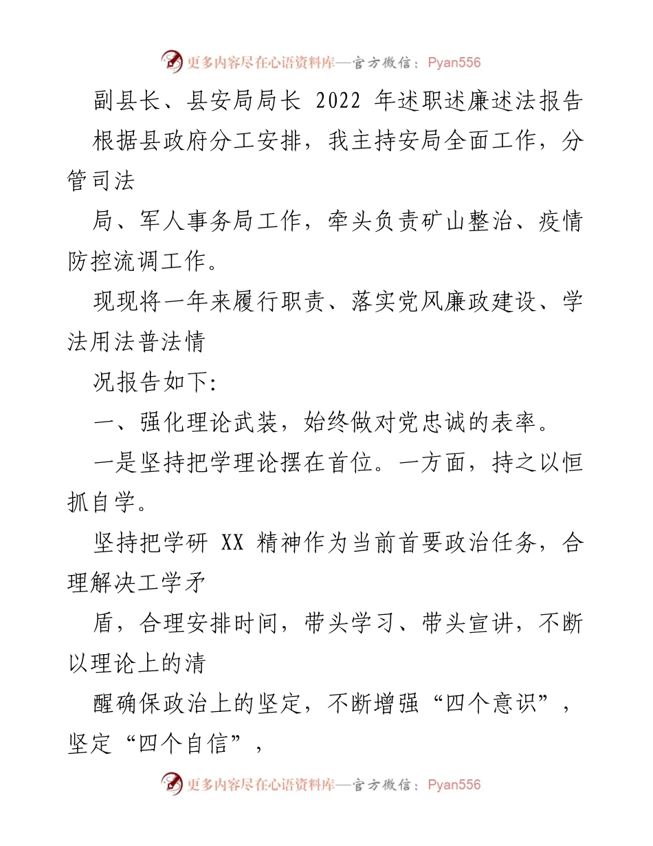 [述职报告] 县政府 - 副县长2022年述职述廉述法报告.docx_第1页