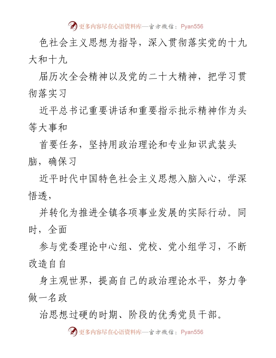 [述职报告] 乡镇领导班子 - 2022年度履职情况总结_1.docx_第2页