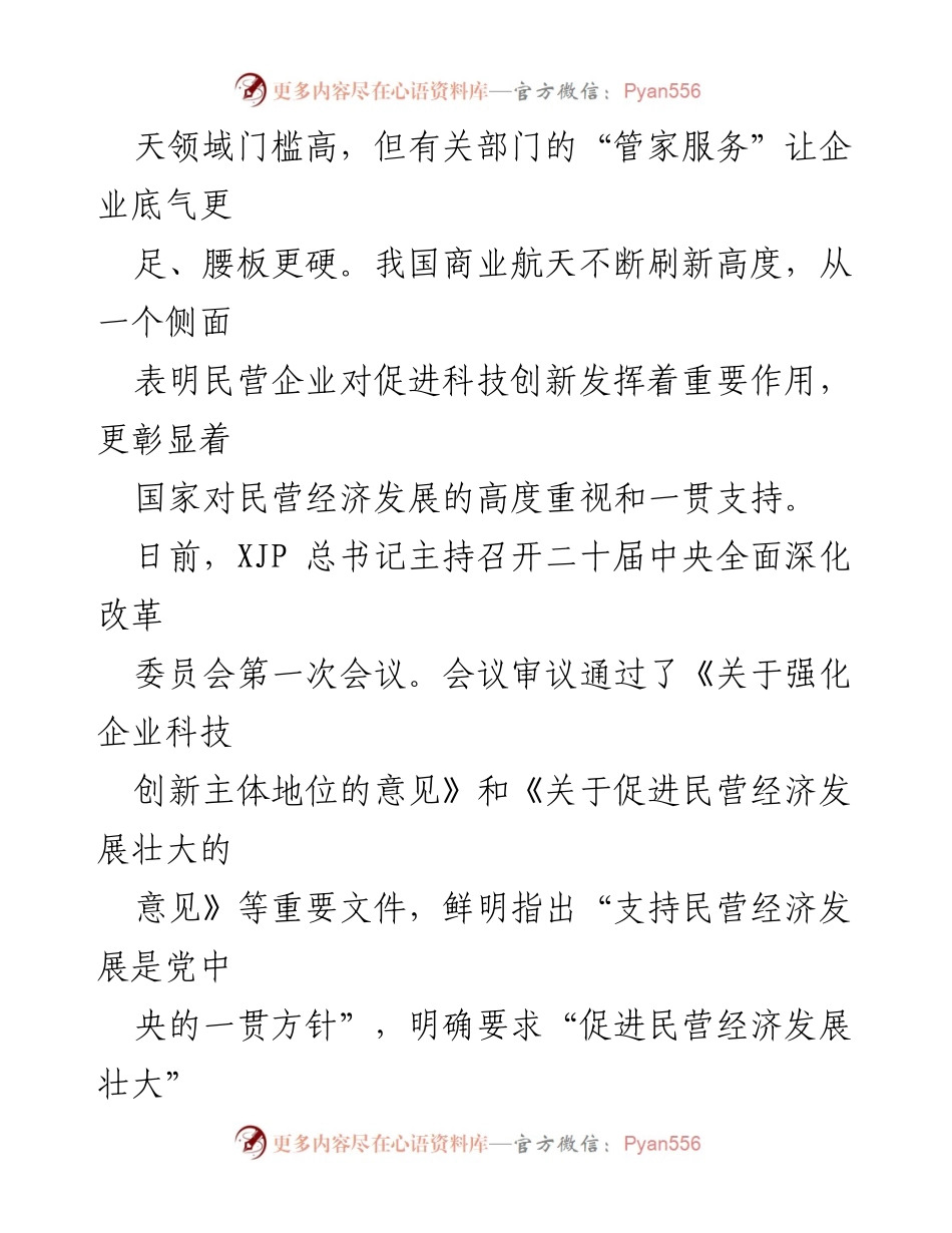[调研报告] 民营经济发展 - 促进民营经济发展的政策与实践分析.docx_第2页