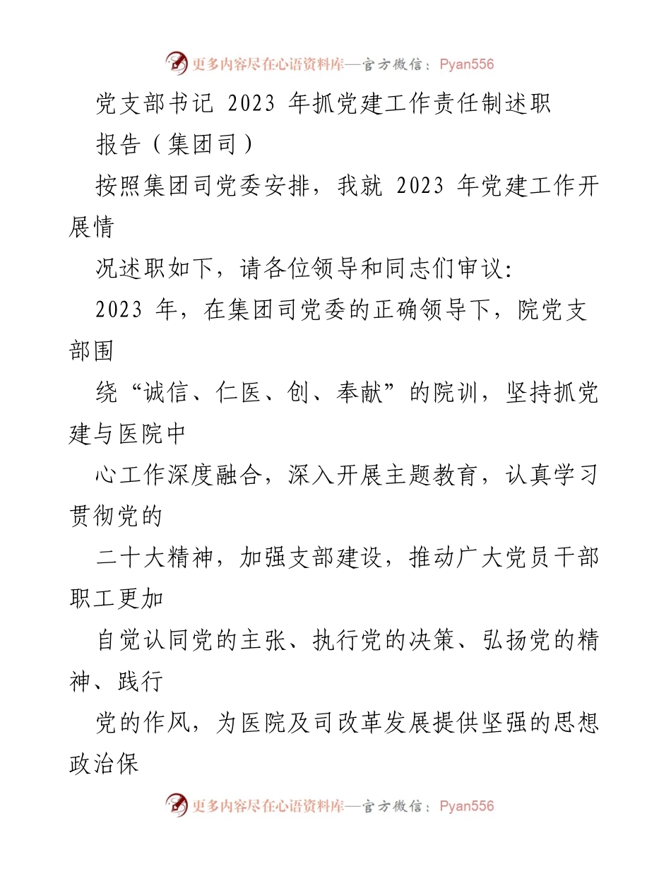 [述职报告] 党建工作 - 2023年党支部书记党建工作责任制述职报告_1.docx_第1页