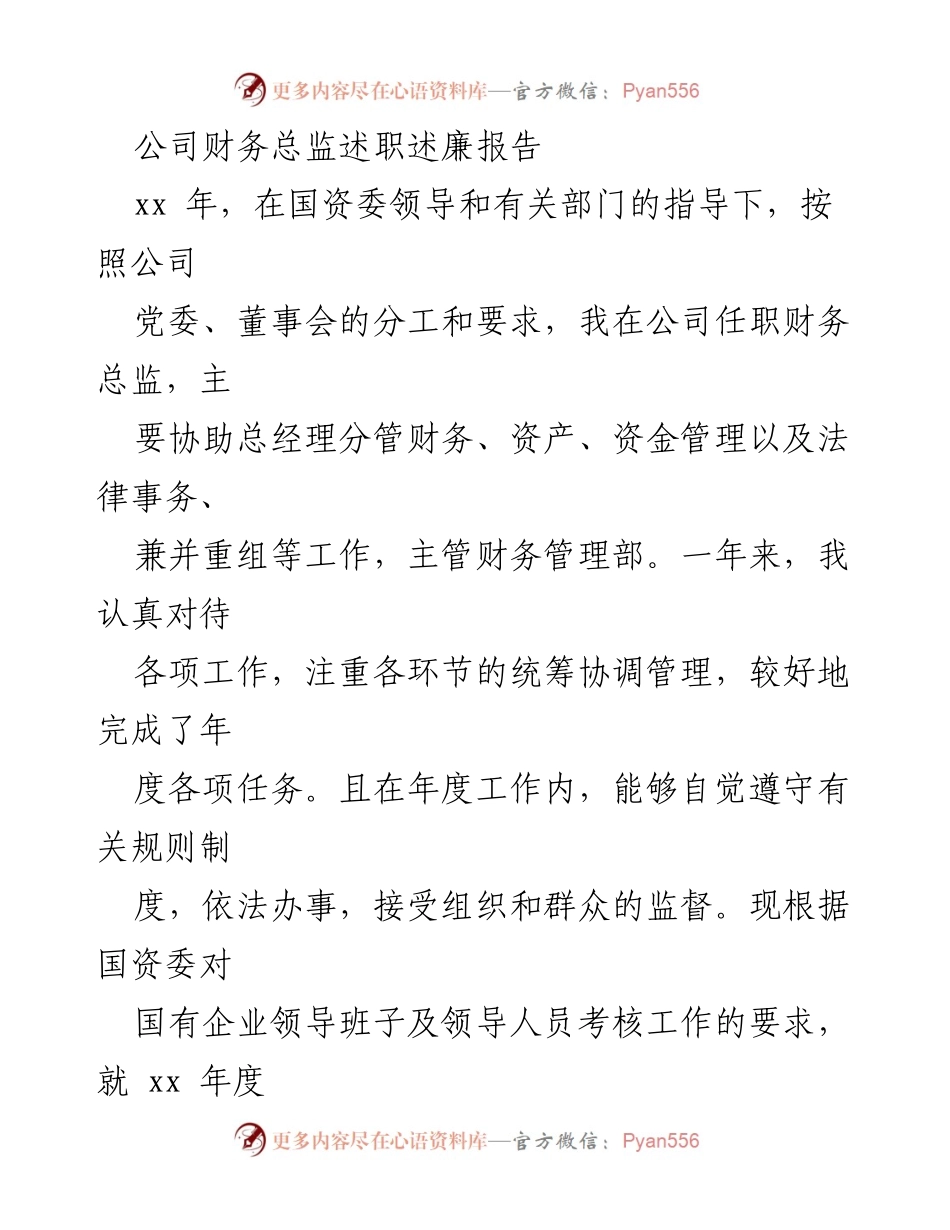 [述职报告] 公司年度总结 - 财务总监述职述廉报告.docx_第1页