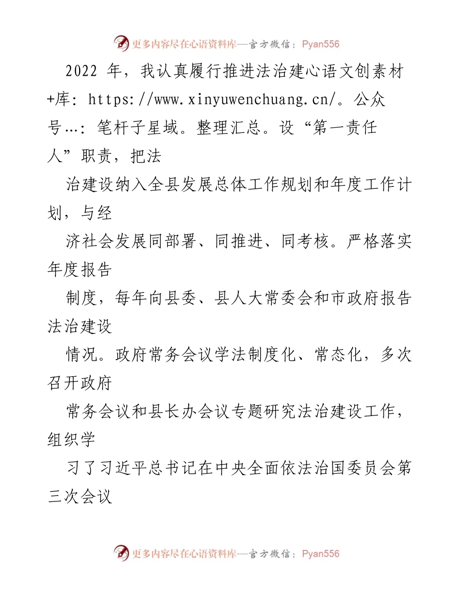 [述职报告] 县法治建设 - 县长履行法治建设第一责任人职责情况总结.docx_第2页