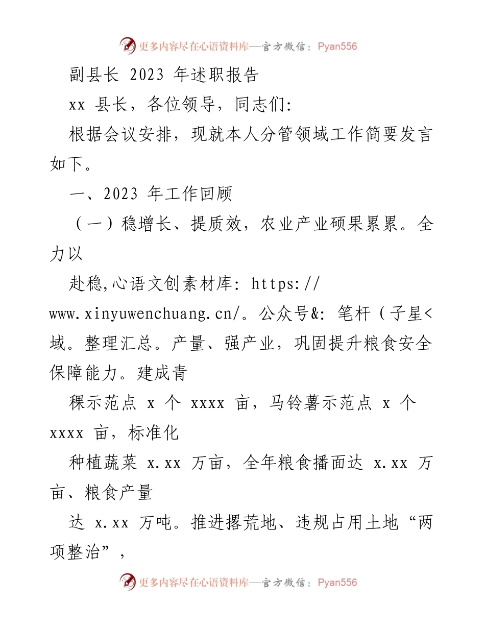 [述职报告] 2023年工作总结 - 副县长2023年工作述职报告.docx_第1页